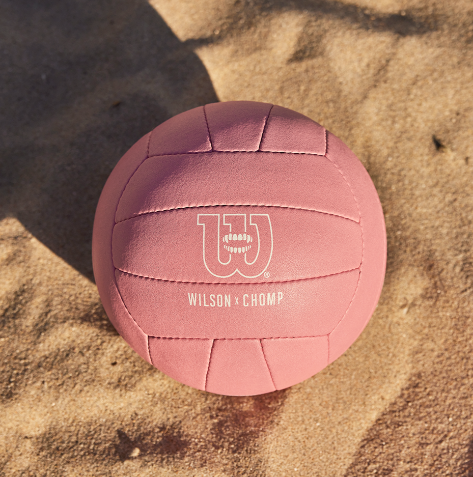 Wilson x Chomp Volleyball