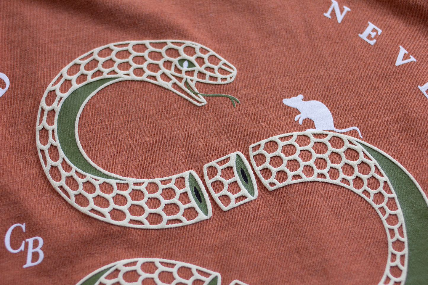Snake Slices