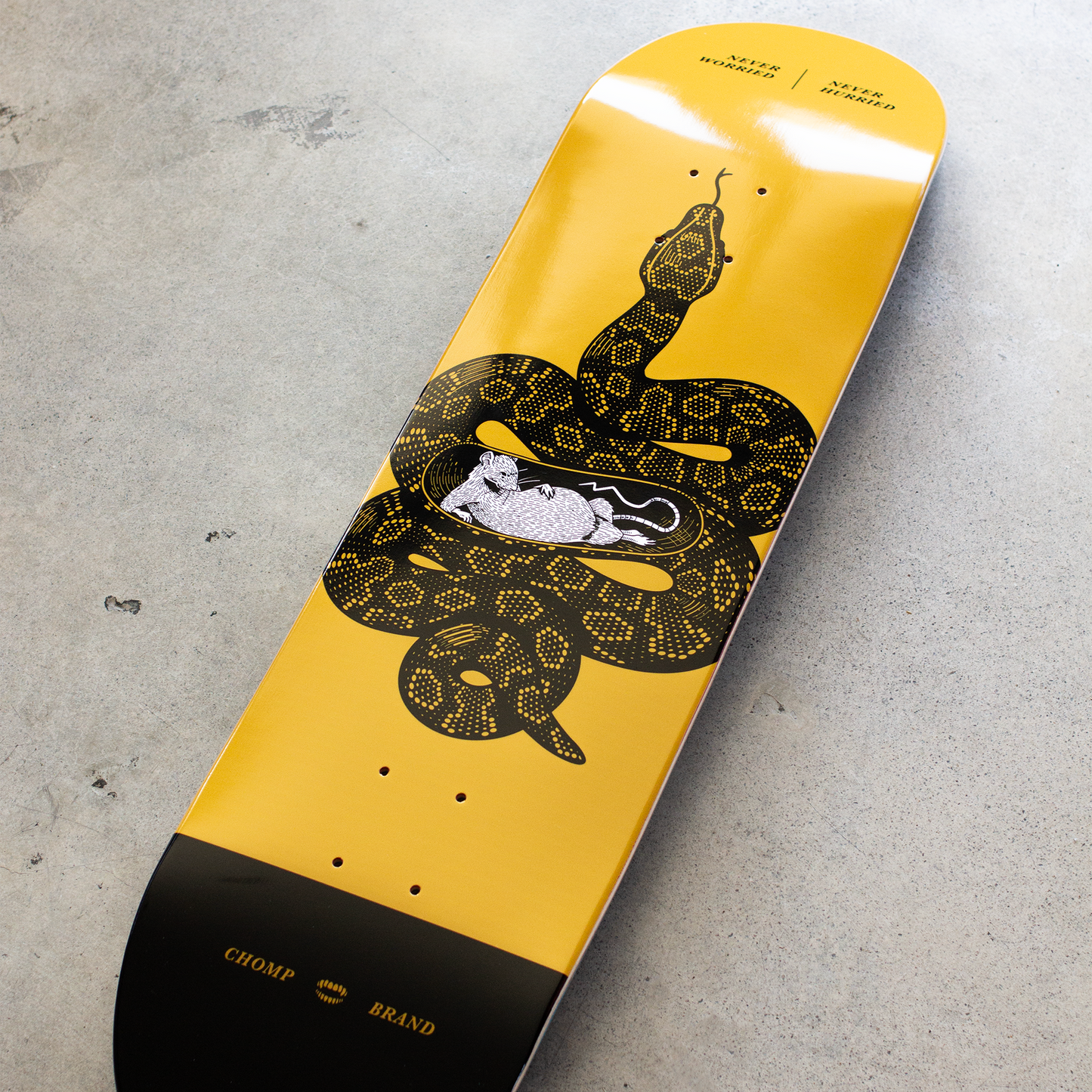 Never Worried Decks