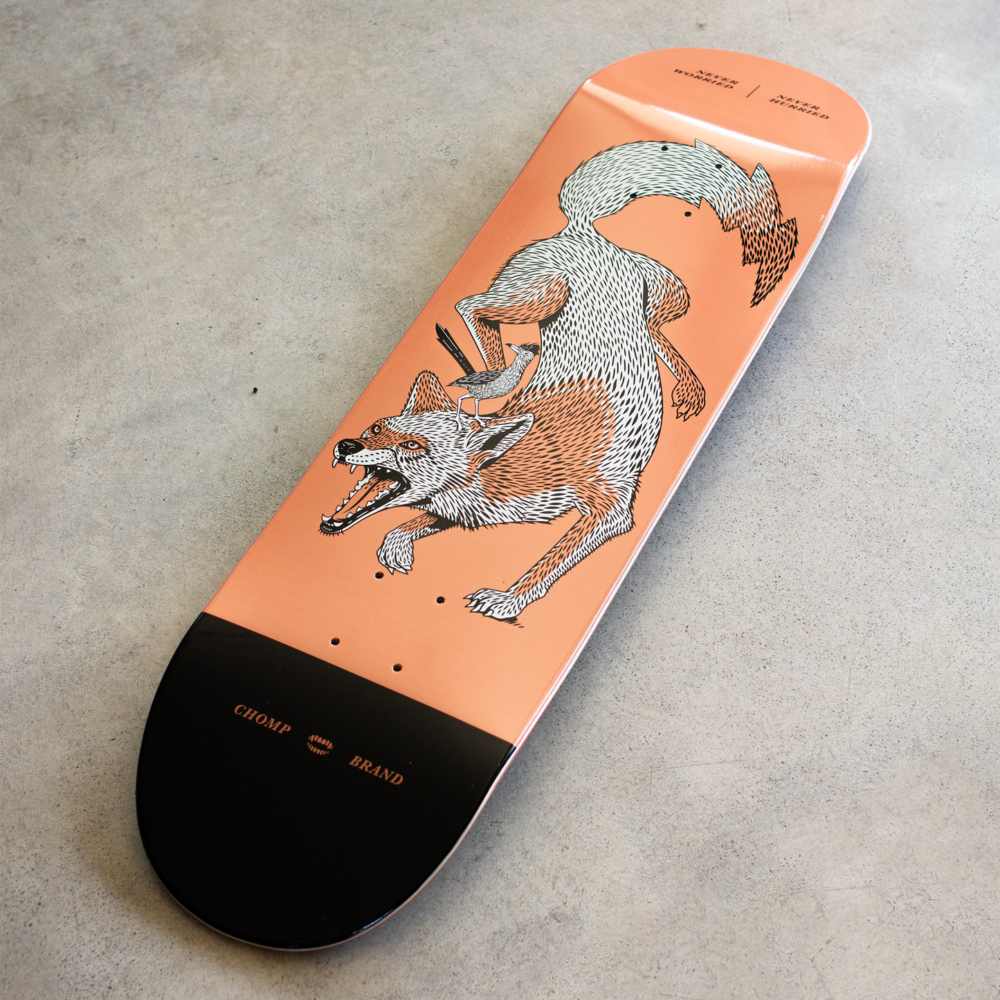 COYOTE SKATE DECK | 8.5
