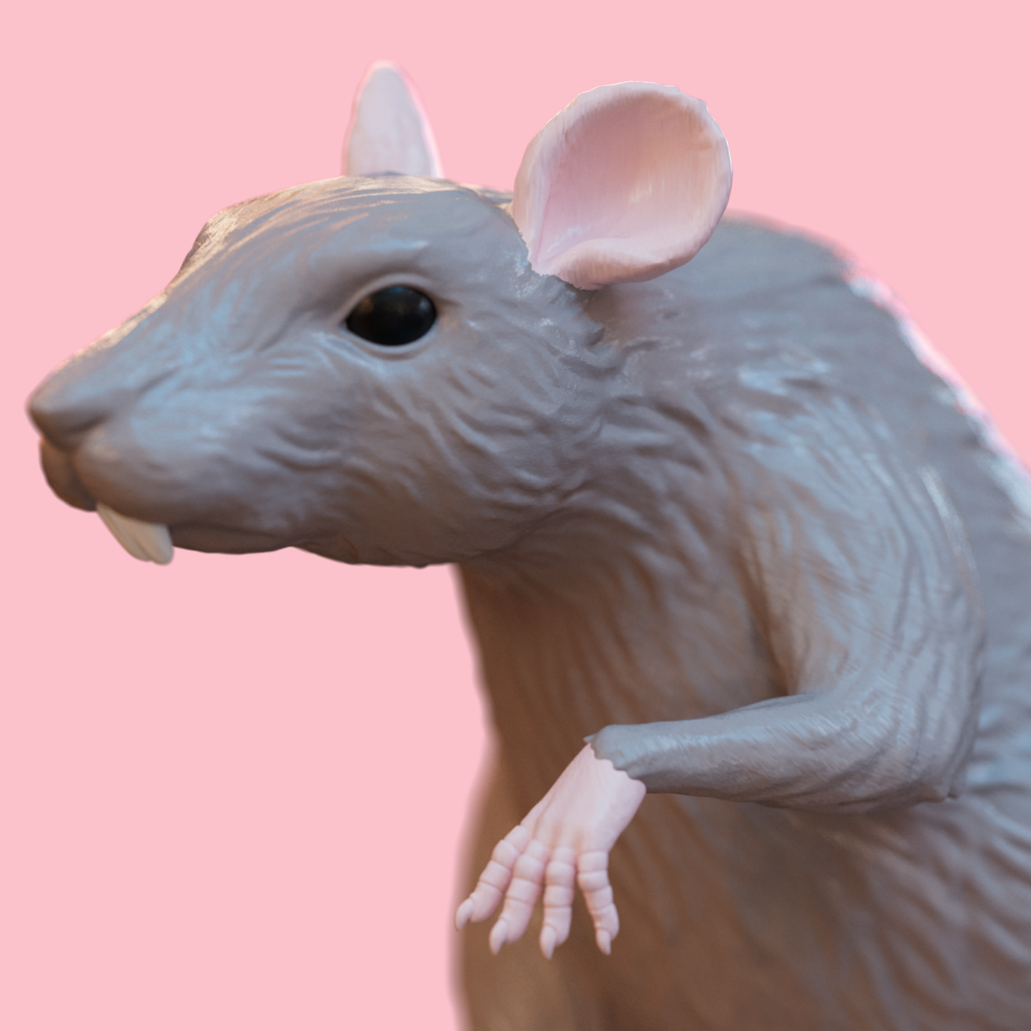 Skate Rat Figurine