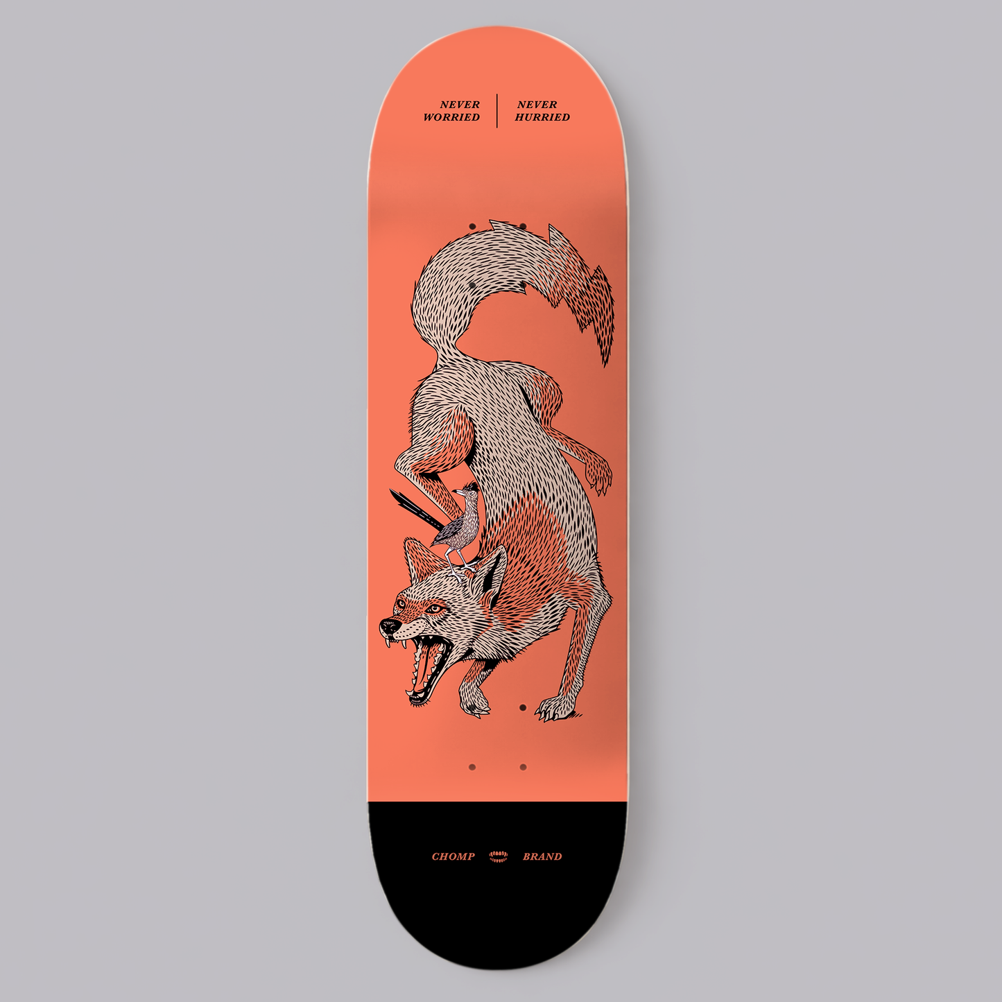 COYOTE SKATE DECK | 8.5