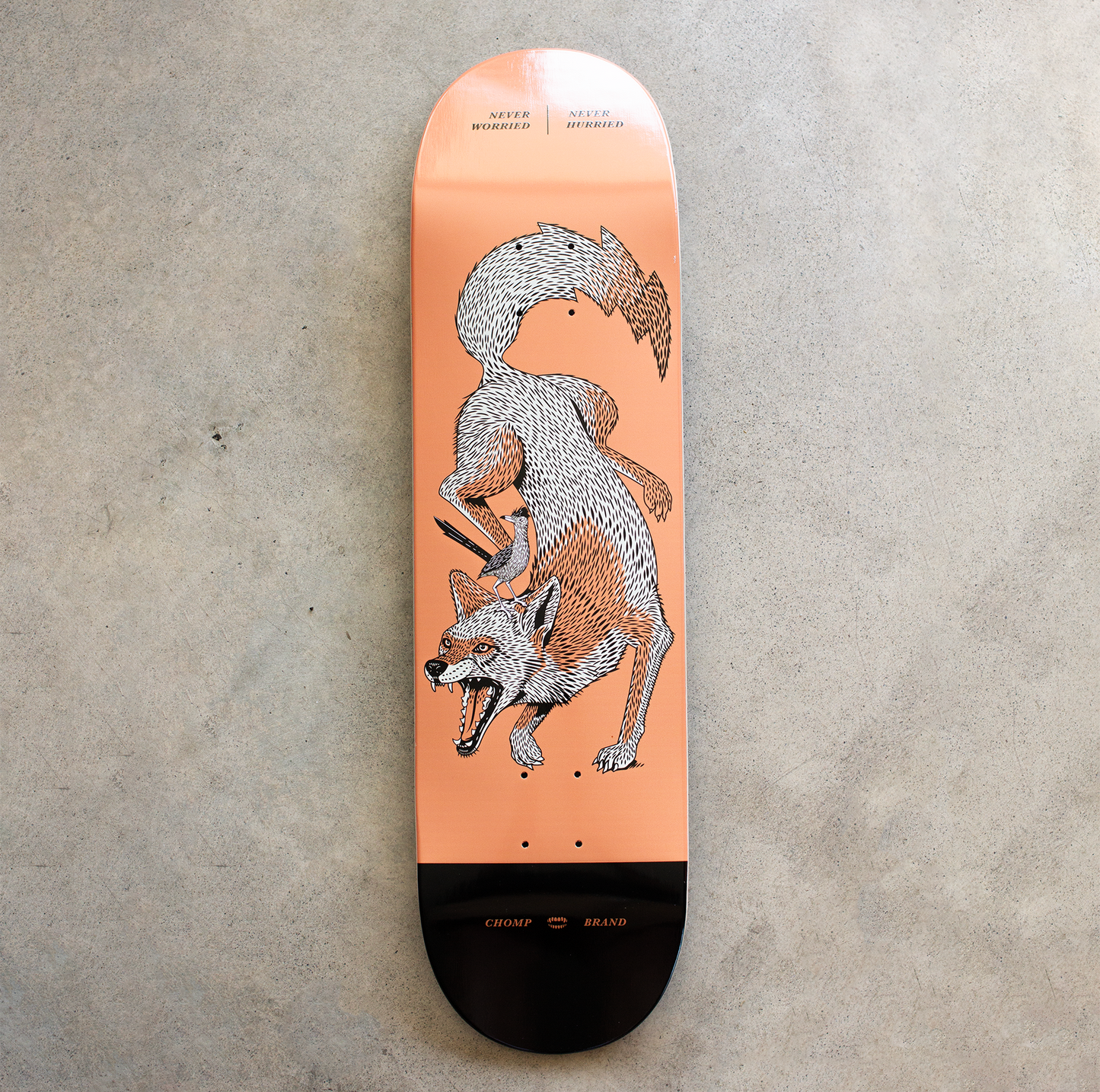 Coyote Deck