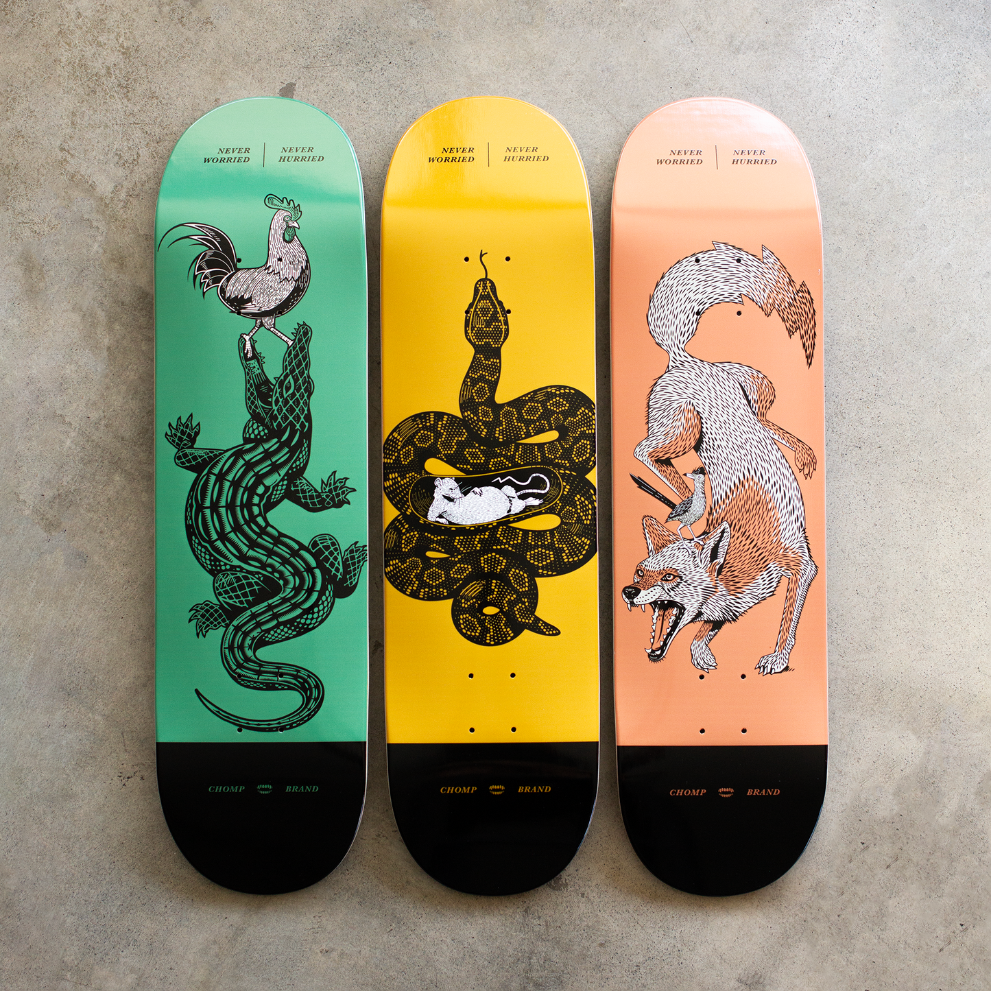 Never Worried Decks