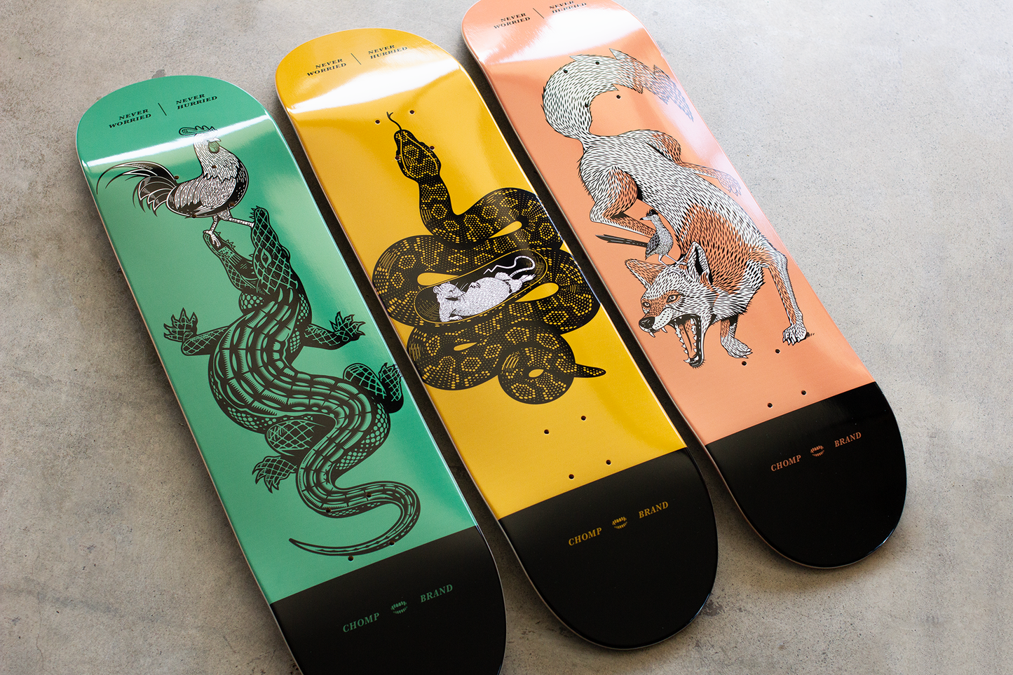 Never Worried Decks