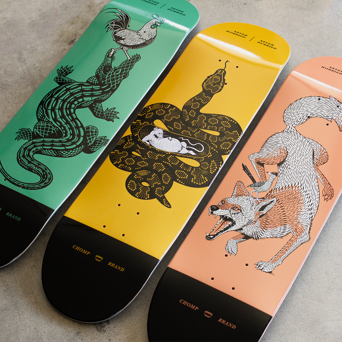 NEVER WORRIED SKATE DECKS | 8.5