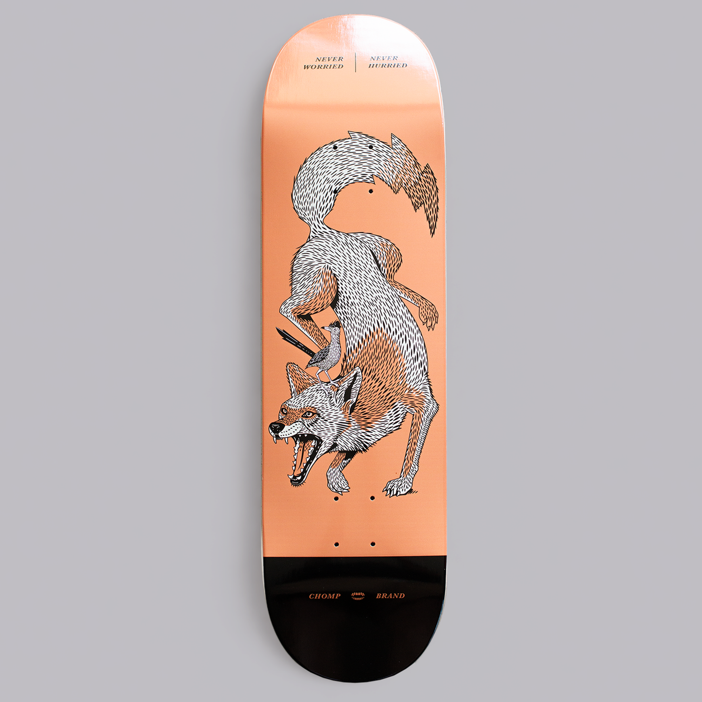 COYOTE SKATE DECK | 8.5