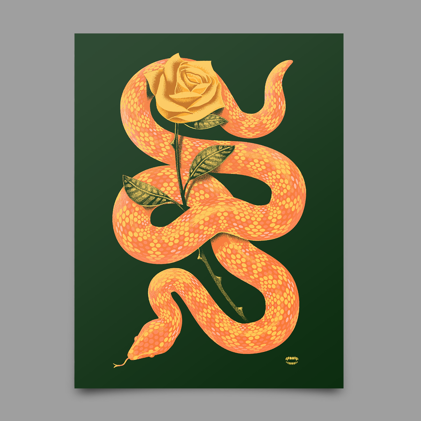 Snake Rose Print