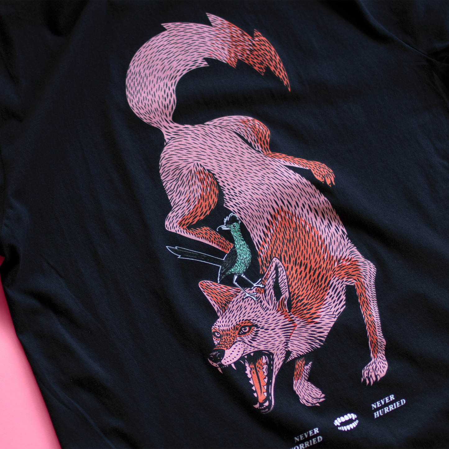 NW Coyote [black]