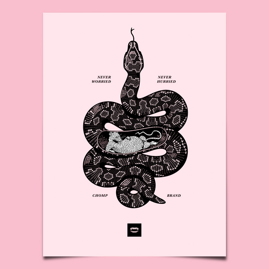 Snake | Never Worried Poster