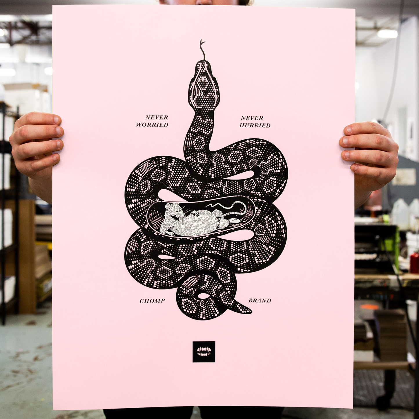 Snake | Never Worried Poster